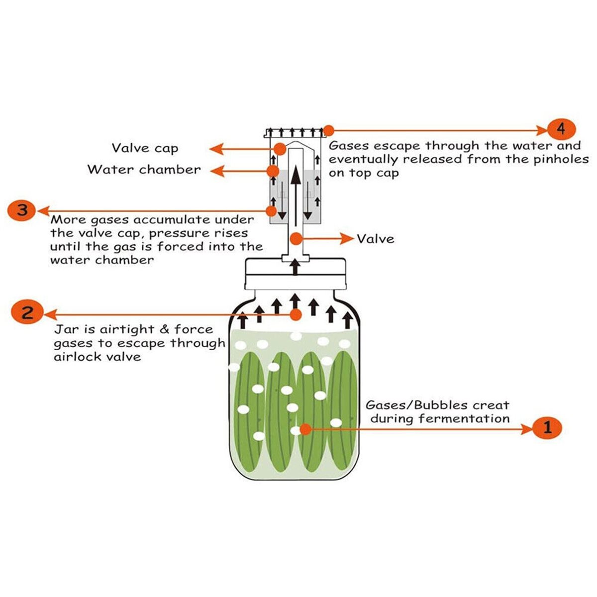 Wine Beer And More - Lot de 4 couvercles de fermentation
