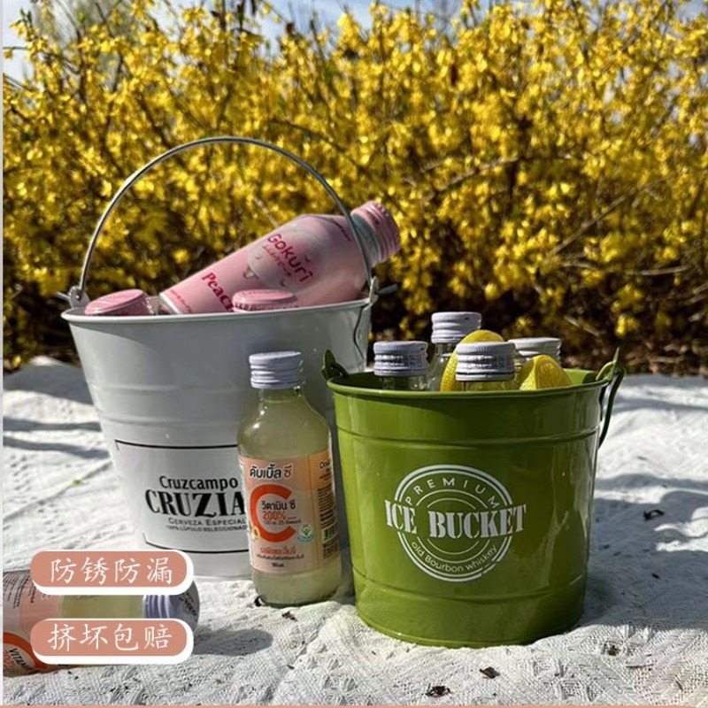 Baril de refroidissement en fe - Ice Bucket Silver avis et prix